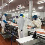 IMG 0751 1140x855 500x375 1